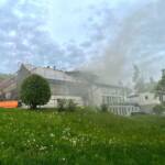 Großbrand verhindert und 5 Katzenbabys gerettet