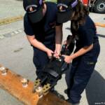 Erste Feuerwehrjugend-Olympiade des Abschnitts Hollabrunn