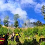 Erneut Waldbrand am „Katzberg“ in Neusiedl
