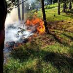 Erneut Waldbrand am „Katzberg“ in Neusiedl