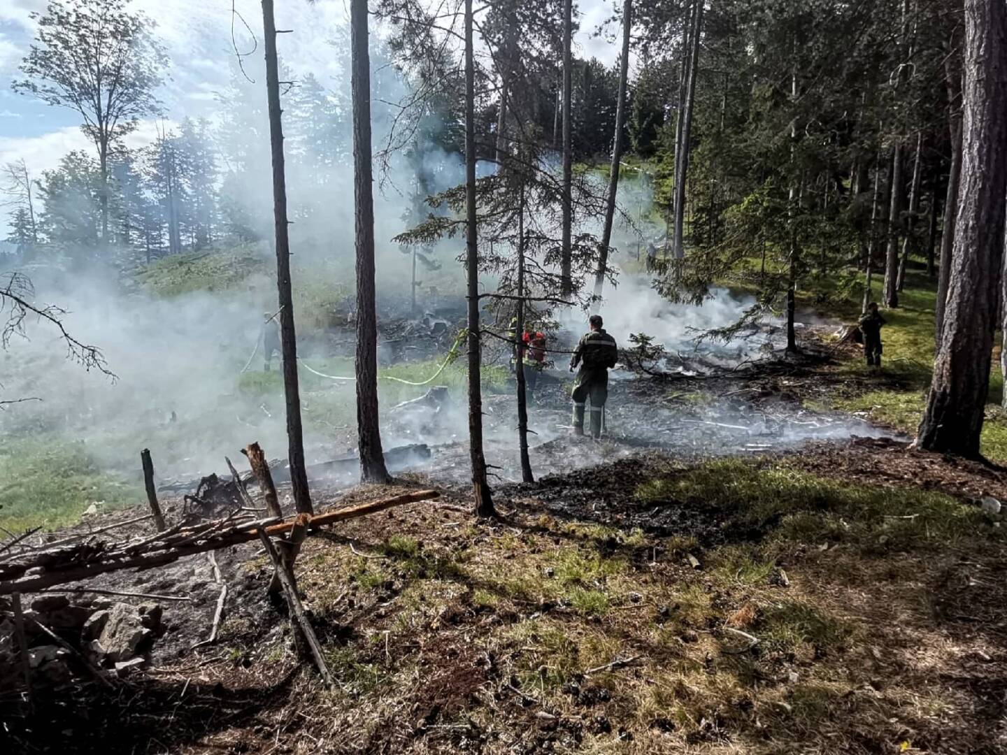 BFK Wr. Neustadt: Erneut Waldbrand am „Katzberg“ in Neusiedl