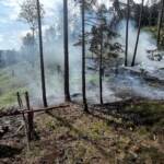 Erneut Waldbrand am „Katzberg“ in Neusiedl