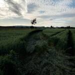 Spektakulärer Verkehrsunfall in Haschendorf
