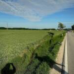 Spektakulärer Verkehrsunfall in Haschendorf