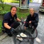 In Villach sind die Kaninchen los