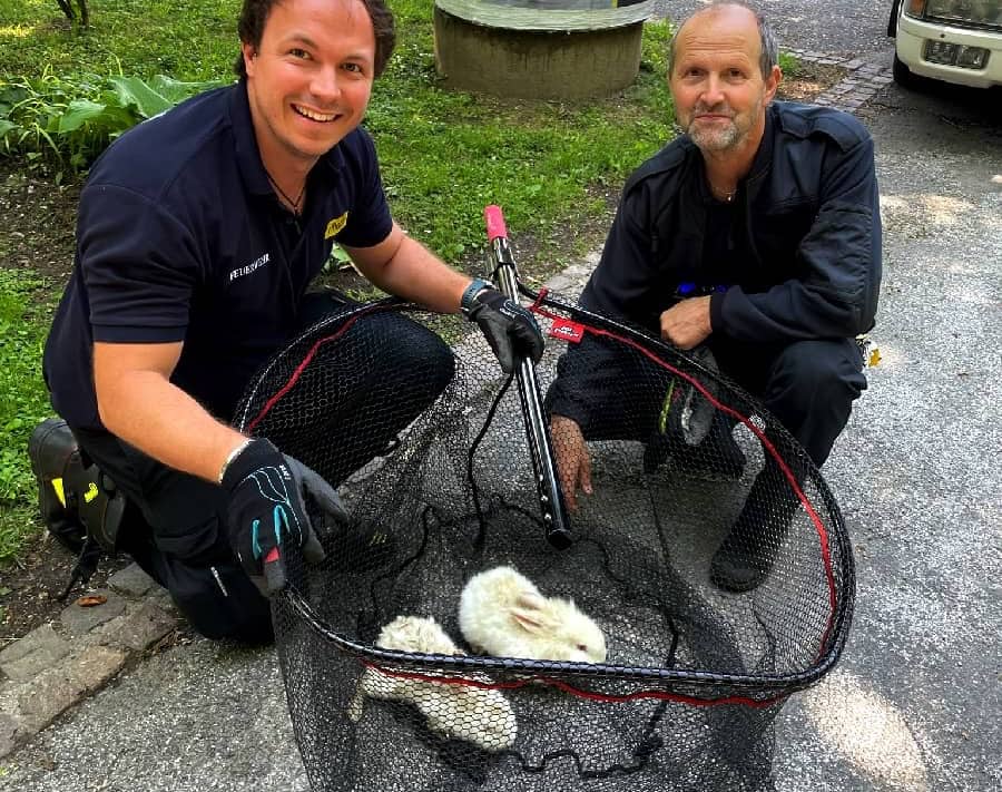 HFW Villach: In Villach sind die Kaninchen los