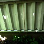 Feuerwehr rettet verletzte Schlange