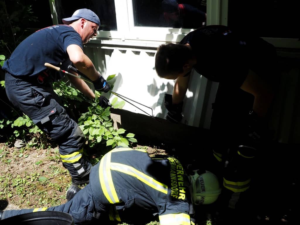 FF Biedermannsdorf: Feuerwehr rettet verletzte Schlange