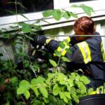 Feuerwehr rettet verletzte Schlange