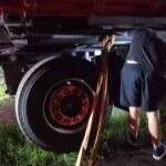 Tiertransporter in Notlage