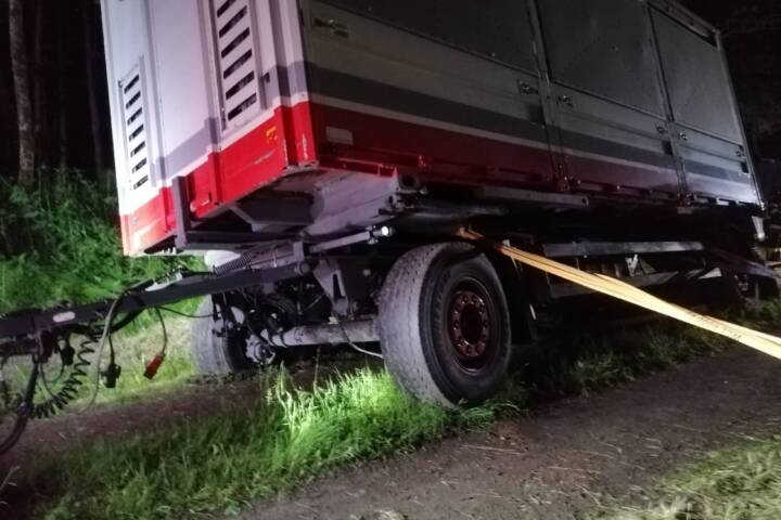 BFKDO Jennersdorf: Tiertransporter in Notlage