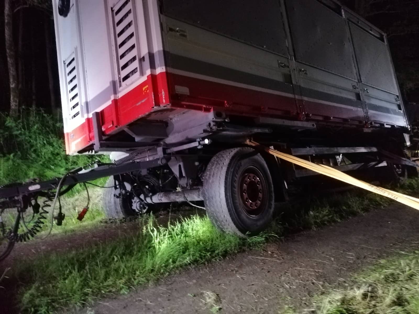BFKDO Jennersdorf: Tiertransporter in Notlage