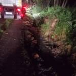 Tiertransporter in Notlage