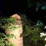 Baum auf Stromleitung führt zu Brand