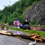 Verkehrsunfall - PKW kollidiert mit Baum