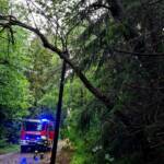Heftige Gewitter sorgen für zahlreiche Feuerwehreinsätze