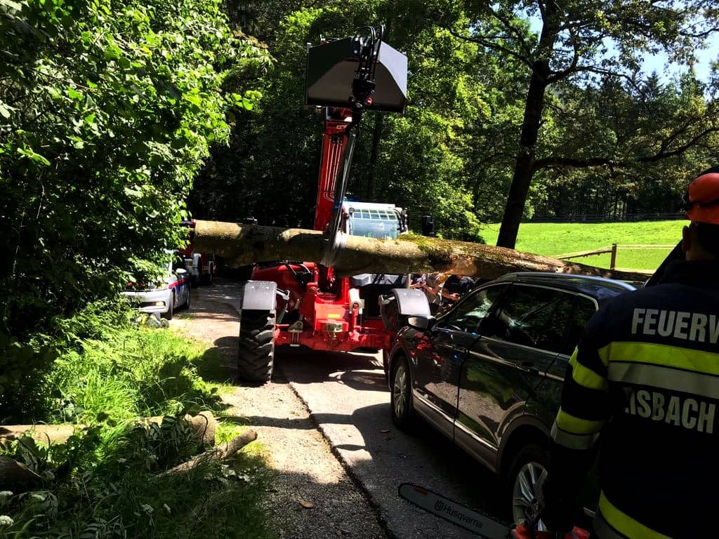 BFV Graz-Umgebung: Fahrender PKW von Baum getroffen