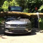 Fahrender PKW von Baum getroffen