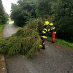 Kuriose Einsätze der FF Berndorf