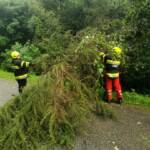 Kuriose Einsätze der FF Berndorf