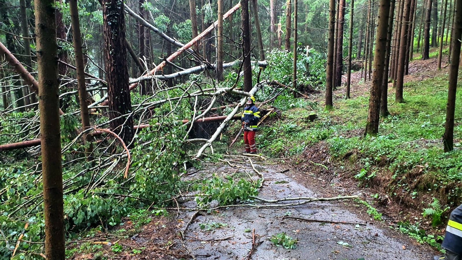 BFV Graz-Umgebung: Kuriose Einsätze der FF Berndorf