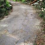 Kuriose Einsätze der FF Berndorf