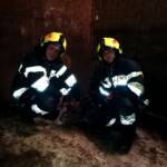 Kuriose Einsätze der FF Berndorf