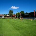 Bezirkssieger wurden beim Bezirksbewerb Vöcklabruck in Frankenburg geehrt