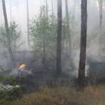 Waldbrandeinsatz Großmittel - Tag 2