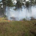Waldbrandeinsatz Großmittel - Tag 2