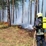Waldbrandeinsatz Großmittel - Tag 2