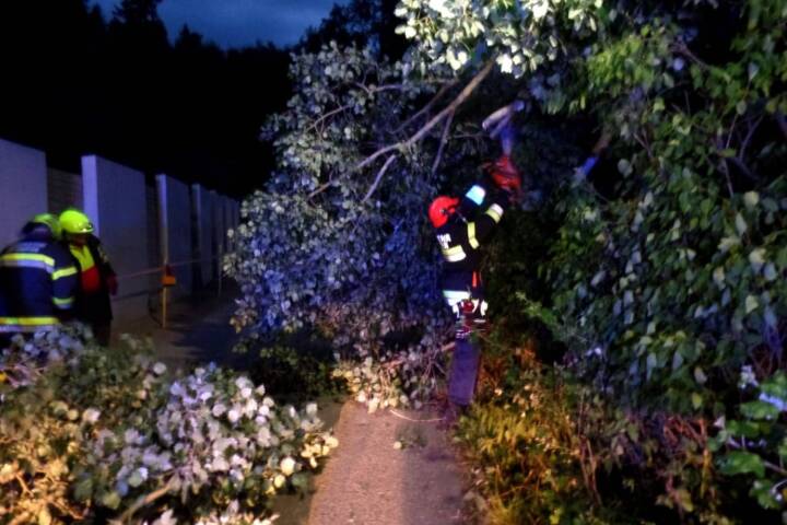 FF Althofen: Baum stürzte auf Fahrbahn