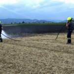 5000 m² Feld gerieten in Brand