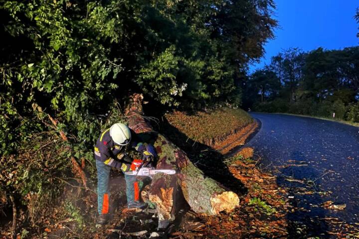 FF Klosterneuburg: Sturmschaden auf der Höhenstrasse
