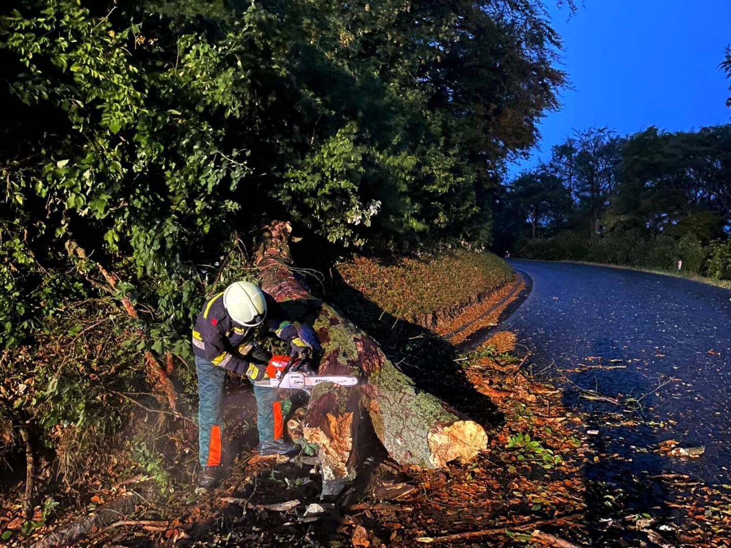 FF Klosterneuburg: Sturmschaden auf der Höhenstrasse