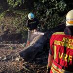 Sturmschaden auf der Höhenstrasse