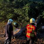 Sturmschaden auf der Höhenstrasse
