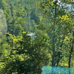 Elektrobrand entpuppt sich als Reinigungsarbeit