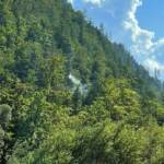 Elektrobrand entpuppt sich als Reinigungsarbeit