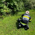 Schlangenrettung in Kresbach