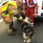 Tragischer Verkehrsunfall bei Schladming