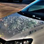 Auto durchbricht Auslagenscheibe