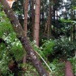 Schwere Unwetter über dem Bezirk