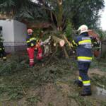 Unwettereinsätze im Bereich Graz-Umgebung