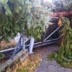 70 Unwettereinsätze im Bezirk Krems