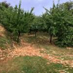 70 Unwettereinsätze im Bezirk Krems