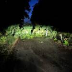 70 Unwettereinsätze im Bezirk Krems