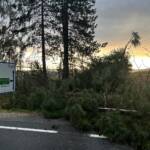 70 Unwettereinsätze im Bezirk Krems