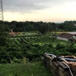 70 Unwettereinsätze im Bezirk Krems