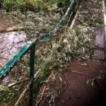 70 Unwettereinsätze im Bezirk Krems